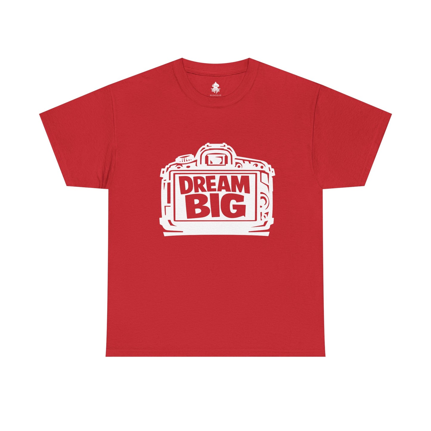 Dream Big: Capture the Vision